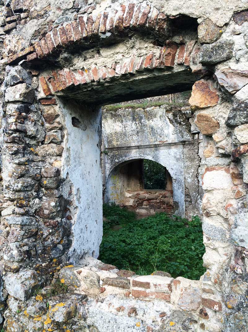 AES in Montemor-o-Novo |&nbsp;Portugal