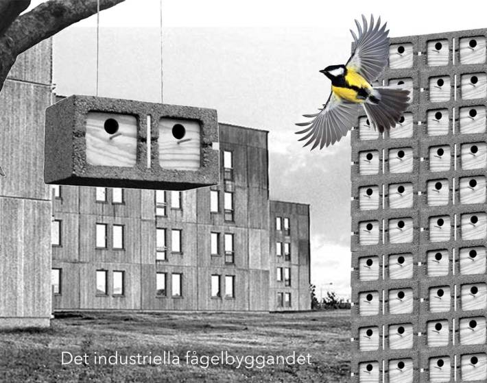 det-industriella-fågelbyggandet1