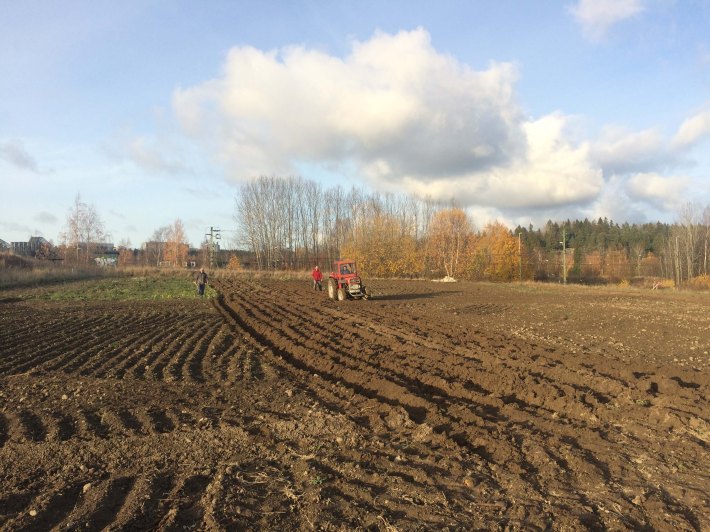 ekoodlarna-november-12