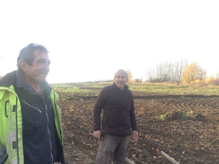 ekoodlarna-november-14